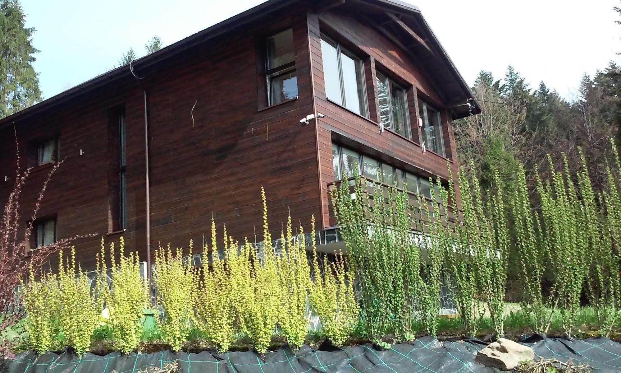 Karolinka Guest House Щирк Экстерьер фото